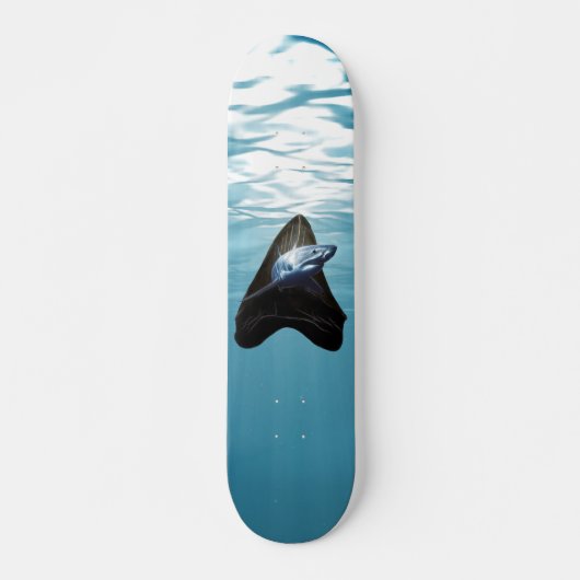 Skateboard dent de requin (Devant)