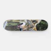 Skateboard Depredador lobo gris observando (Horz)