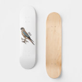 Skateboard dessin animé d'oiseau-kestrel américain (Recto)