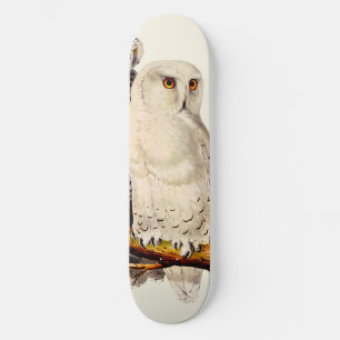 Skateboard Dessin de Chouette neige vintage
