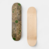 Skateboard Diamant (Recto)