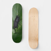 Skateboard Dorcus parallelipipedus, le moindre dendroctone du (Recto)