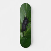 Skateboard Dorcus parallelipipedus, le moindre dendroctone du (Devant)