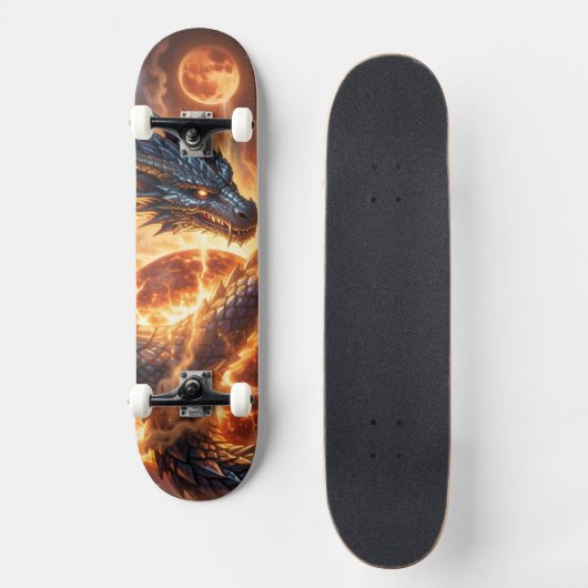 Skateboard Dragon World – Le Royaume du Feu et de la Magie (Recto)
