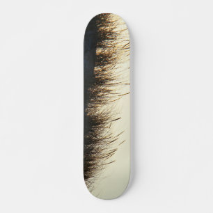 Skateboard Dunes à Sundown IBSP NJ Skate board