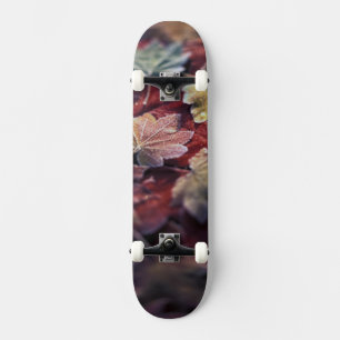 Skateboard É.-U., Nord-Ouest Pacifique. Feuilles d'érable jap