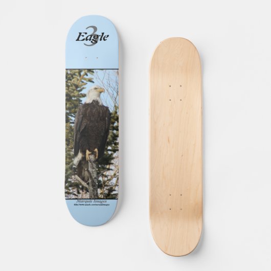 Skateboard Eagle 3 (Recto)