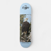 Skateboard Eagle 3 (Recto)