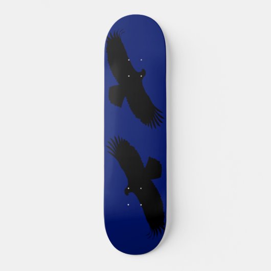 Skateboard Eagle Stalking - (Recto)