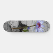 Skateboard Eau Lily Beauté (Horz)