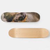 SKATEBOARD ÉLÉPHANT (Horz)