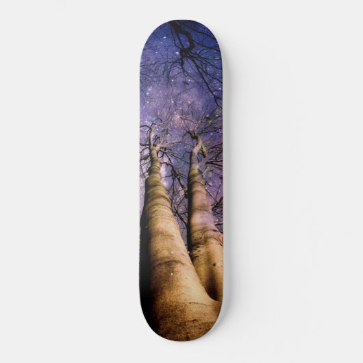 Skateboard Enchanted Forest (Recto)