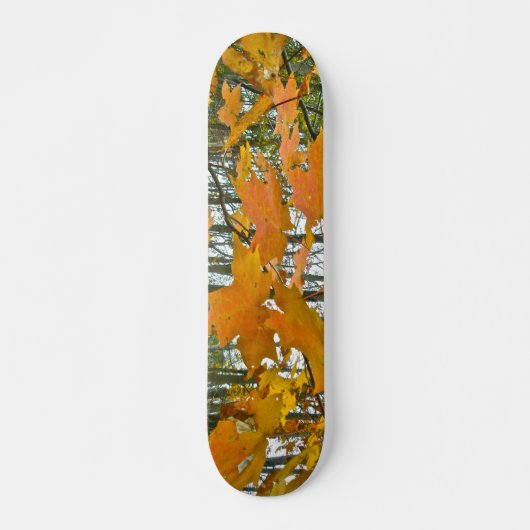 Skateboard Érable d'automne (Devant)