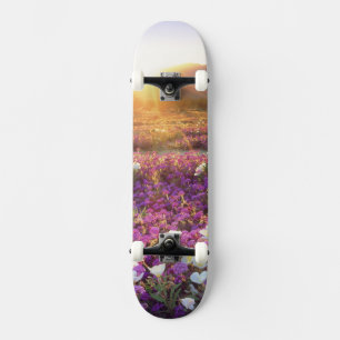 Skateboard États-Unis, Californie, Parc d'État du désert d'An