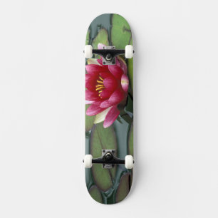 Skateboard États-Unis, État de Washington, Seattle. Nénuphar
