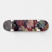 Skateboard États-Unis, Pacifique Nord-Ouest. feuille d'érable (Horz)