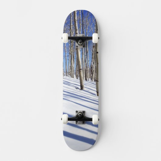 Skateboard États-Unis, Utah, Forêt nationale de Dixie, Aspen (Recto)