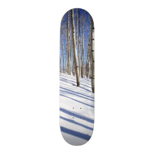 Skateboard États-Unis, Utah, Forêt nationale de Dixie, Aspen 