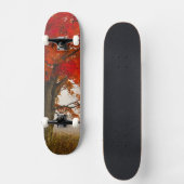 Skateboard États-Unis, Virginie-Occidentale, Davis. Érable ro (Recto)