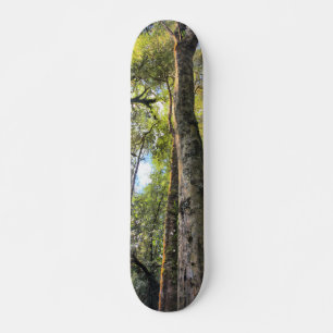 Skateboard Eucalyptus gommiers de la forêt pluviale australie