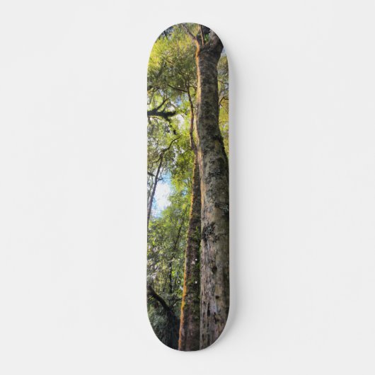 Skateboard Eucalyptus gommiers de la forêt pluviale australie (Devant)