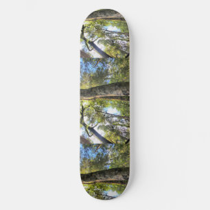 Skateboard Eucalyptus gommiers de la forêt pluviale australie