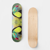 Skateboard Exotic Tropical Toco Toucan Bird - Painting Art (Recto)