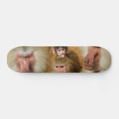 Skateboard Famille de Baboons Papio Hamadryas Zoo de Cologne (Horz)