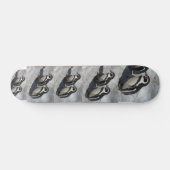 SKATEBOARD FAN DE PINGOUINS (Horz)