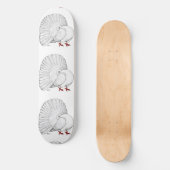 Skateboard Fantail Pigeon White (Recto)