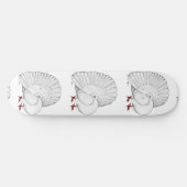 Skateboard Fantail Pigeon White (Horz)