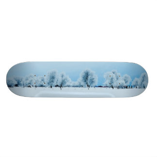 Skateboard Ferme d'hiver