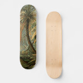 Skateboard Ferns Palm Tree Antiquité Botanique Ferns Art (Recto)