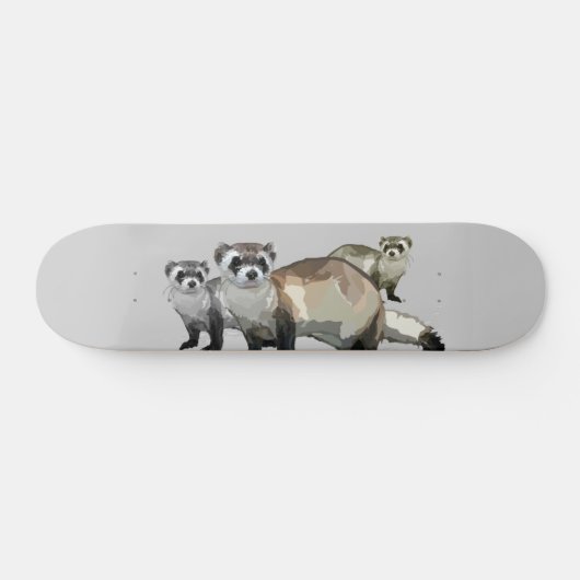 Skateboard Ferrets (Horz)