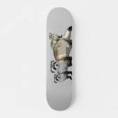 Skateboard Ferrets (Devant)