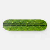 Skateboard Feuille (Horz)