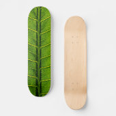 Skateboard Feuille (Recto)