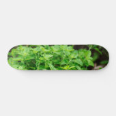 Skateboard feuille (Horz)