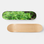 Skateboard feuille (Horz)
