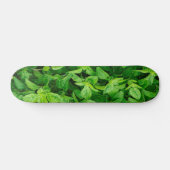 Skateboard feuille 2 (Horz)