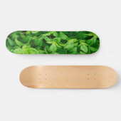 Skateboard feuille 2 (Horz)