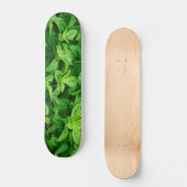 Skateboard feuille 2 (Recto)
