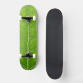 Skateboard Feuille d'Aspen vert #11 (Recto)