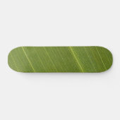 Skateboard Feuille de palmier (Horz)