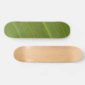 Skateboard Feuille de palmier (Horz)