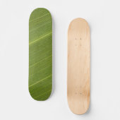 Skateboard Feuille de palmier (Recto)