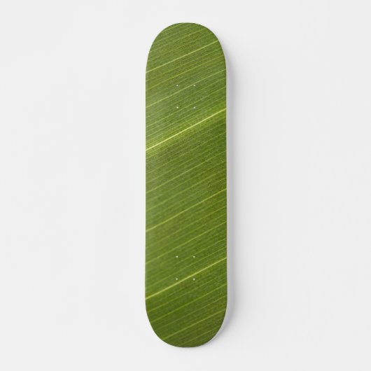 Skateboard Feuille de palmier (Devant)