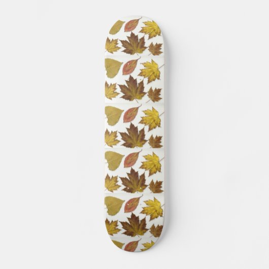 Skateboard Feuille partout (Recto)