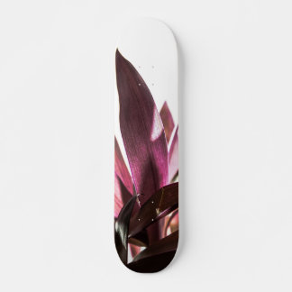 Skateboard feuilles