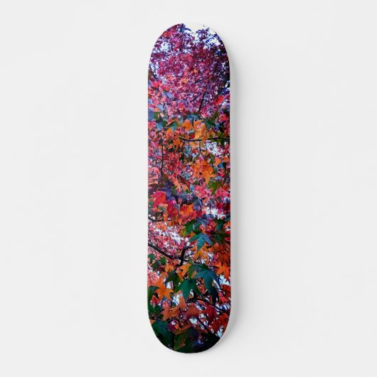 Skateboard Feuilles brillants (Devant)
